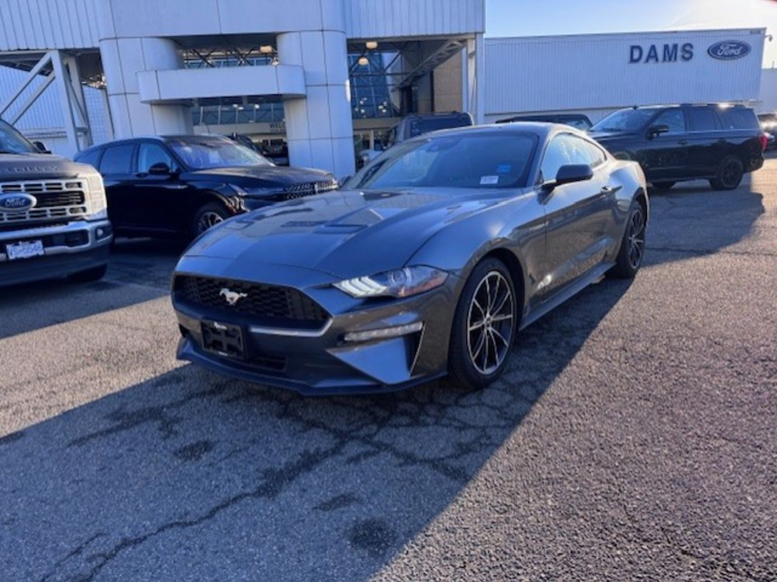 2022 Ford Mustang 