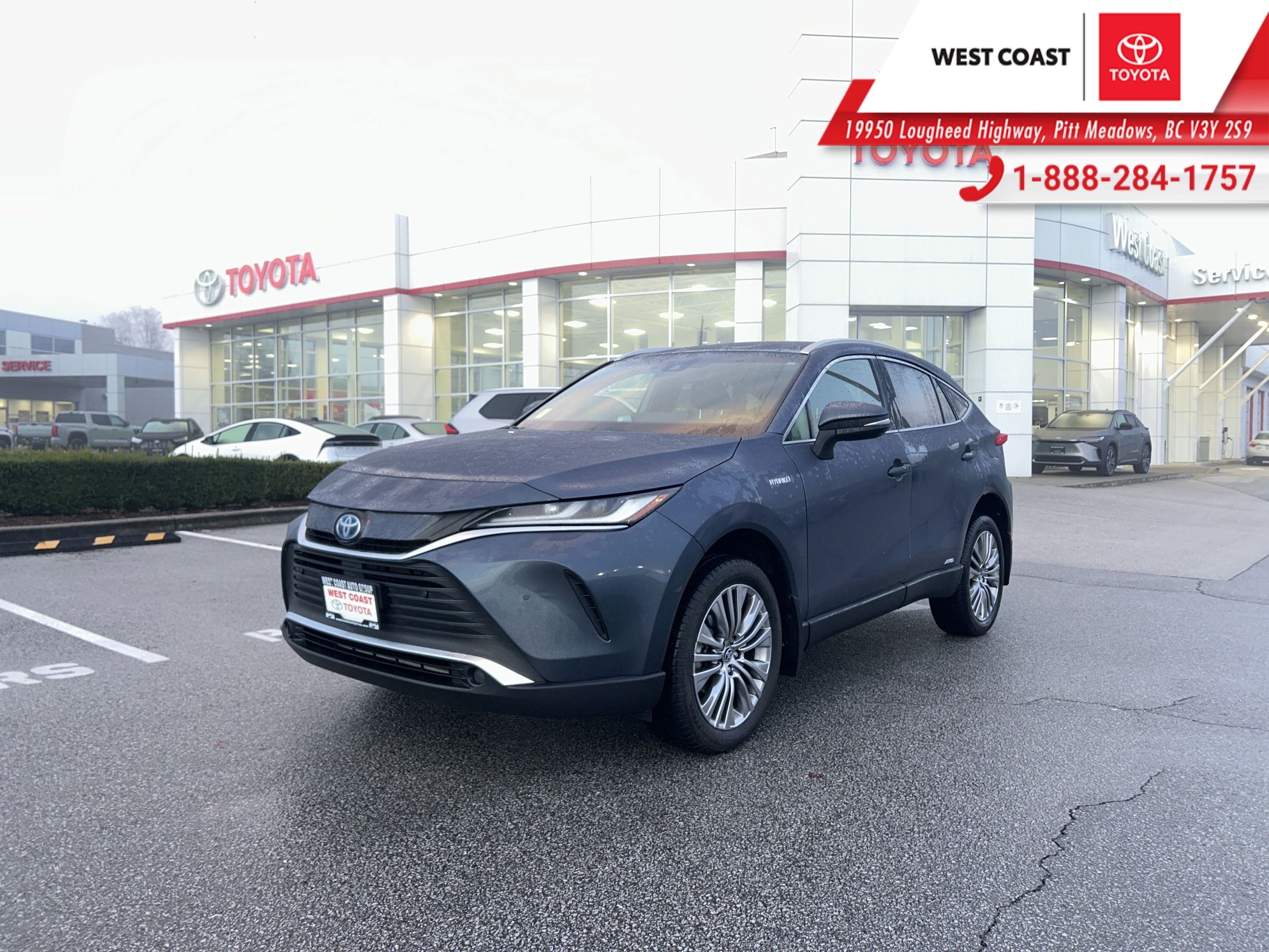 2021 Toyota Venza XLE