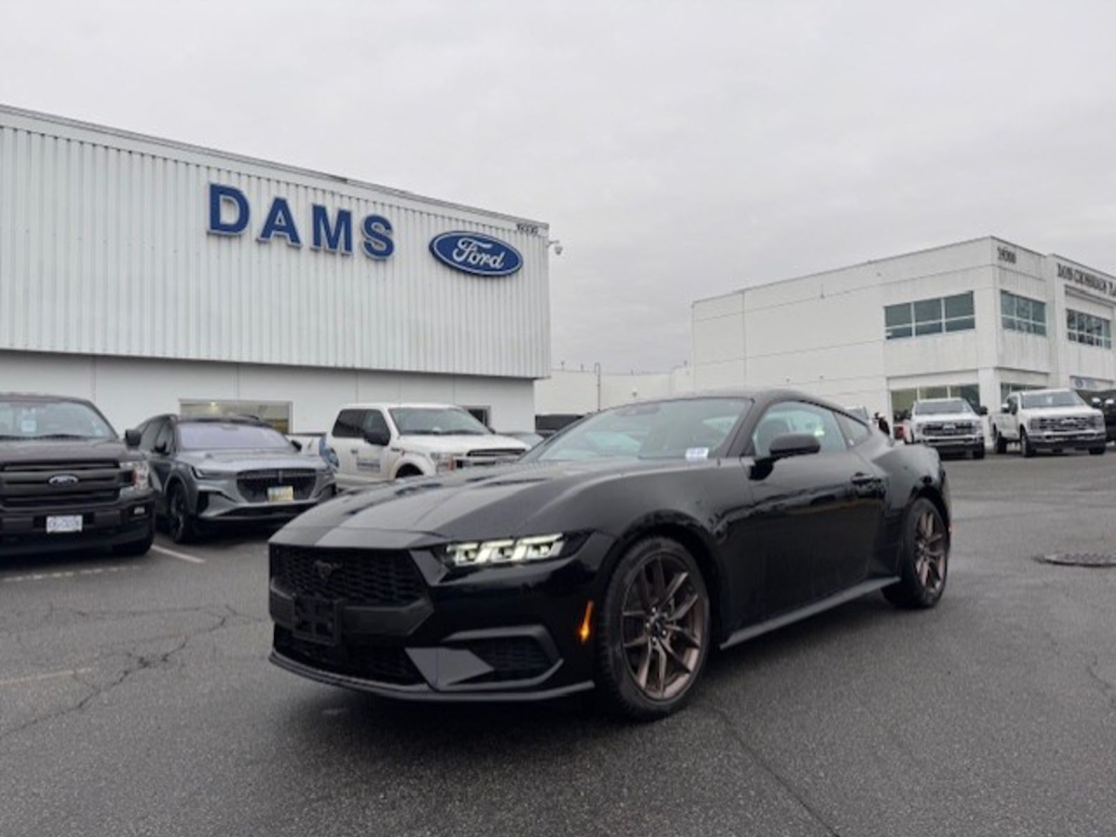 2024 Ford Mustang 