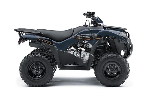 2025 Kawasaki Brute Force 300  2X4