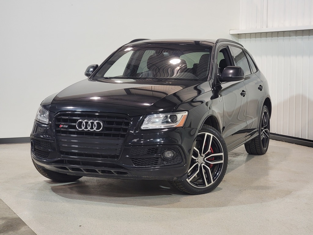 Audi SQ5 2017