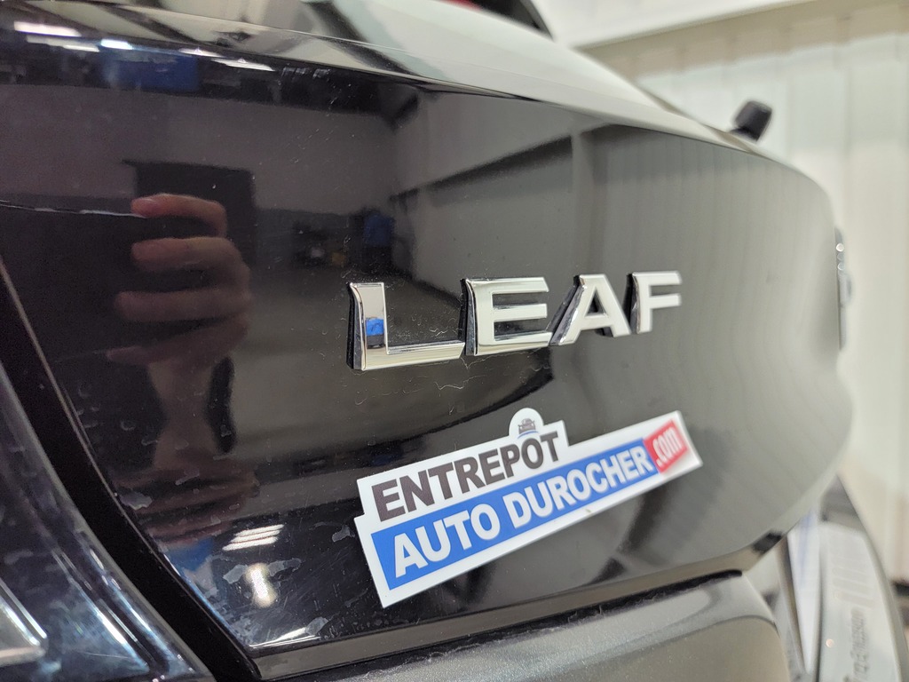 Nissan LEAF 2019