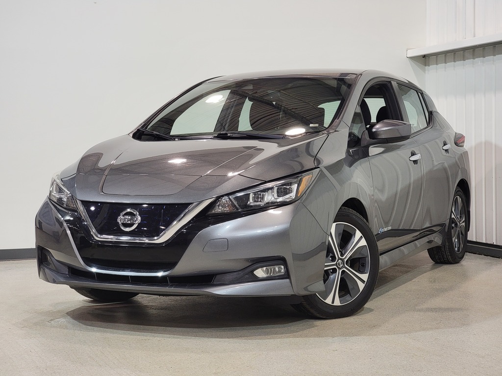 Nissan LEAF 2019