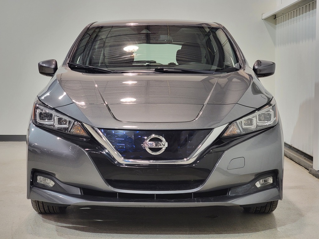 Nissan LEAF 2019