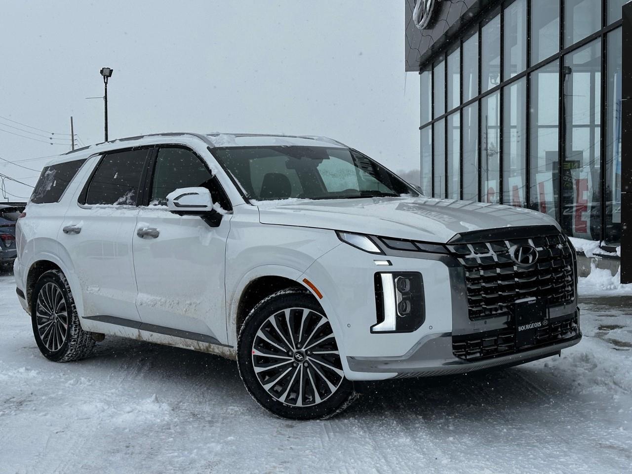 2025 Hyundai Palisade Ultimate Calligraphy HUD, Moonroof, NAV, Auto Park