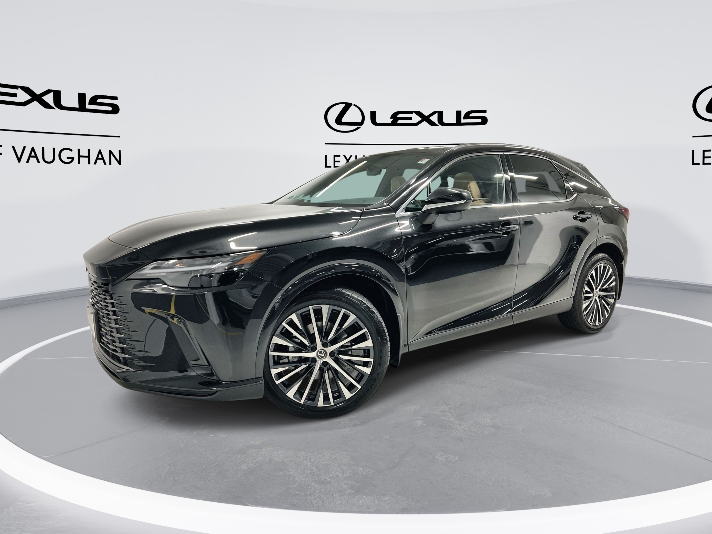 2025 Lexus RX 350 Luxury Package
