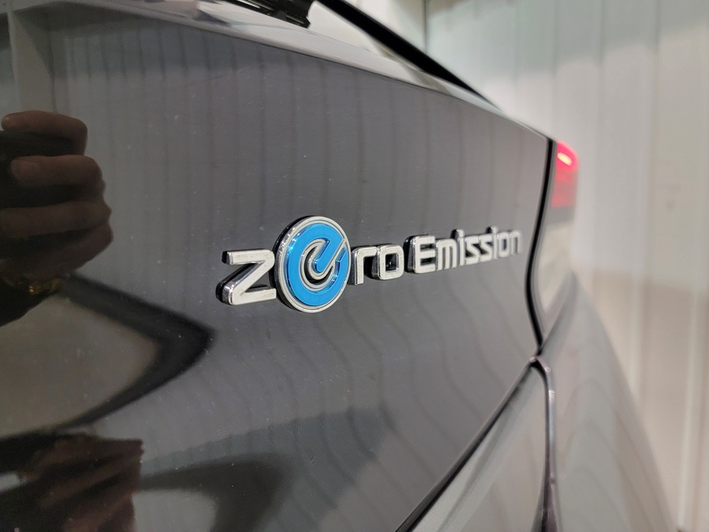 Nissan LEAF 2019