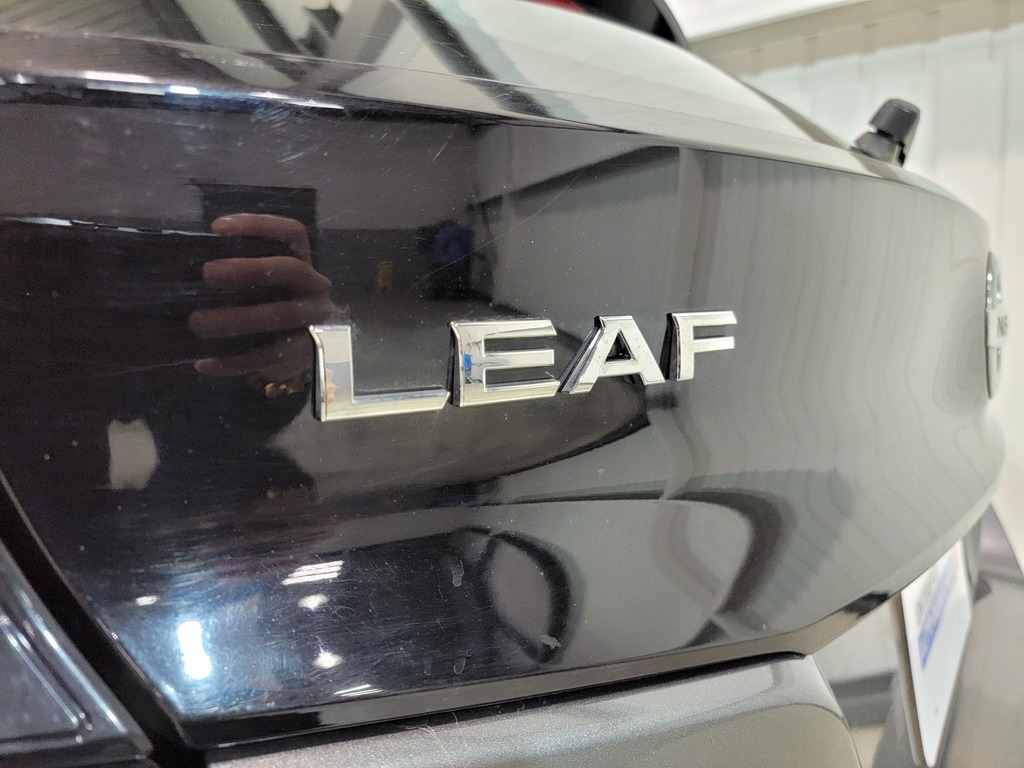 Nissan LEAF 2019