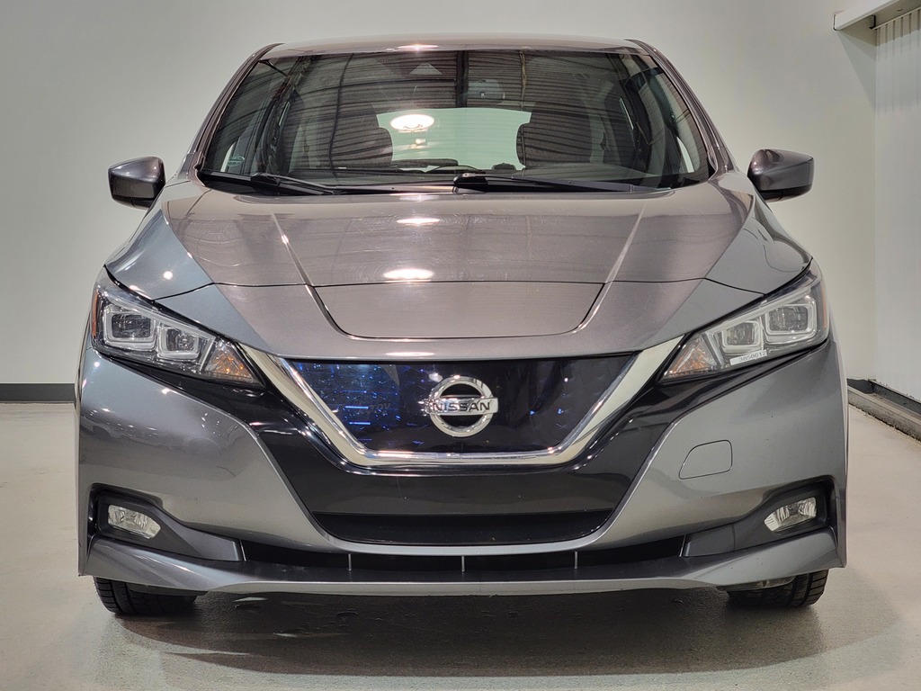 Nissan LEAF 2019