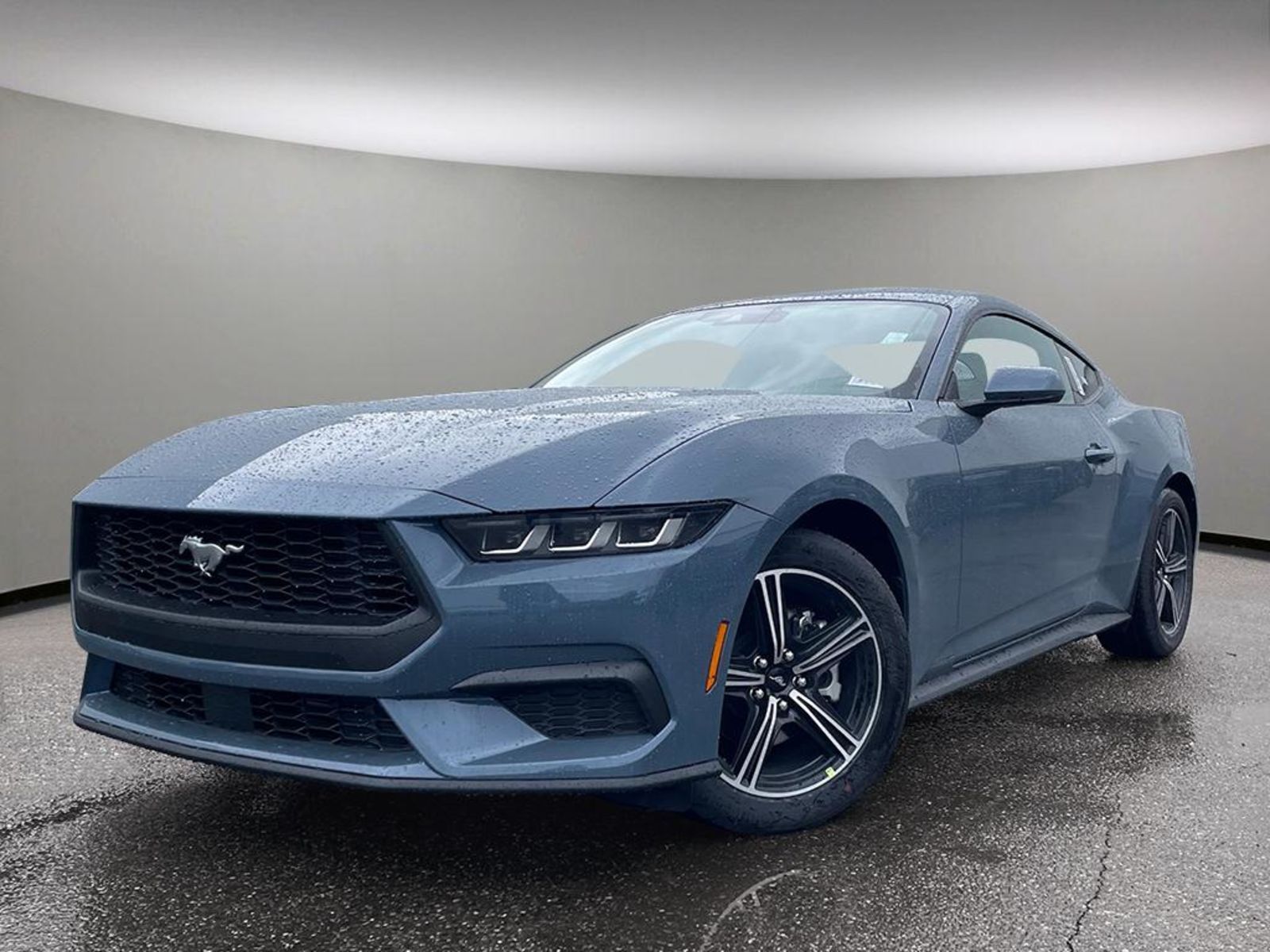 2025 Ford Mustang EcoBoost - 2.3L ECOBOOST/SYNC 4/DUAL CLIMATE CNTRL