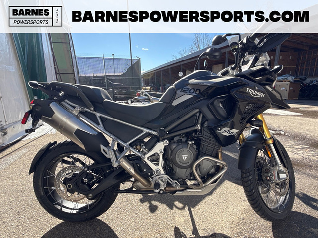 2025 Triumph Tiger 1200 Rally Pro