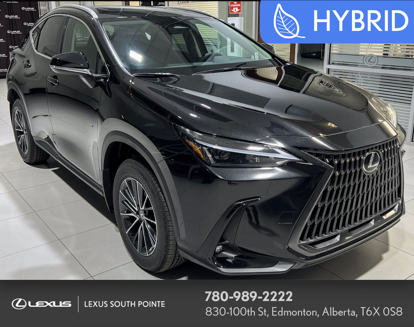 2025 Lexus NX 350h