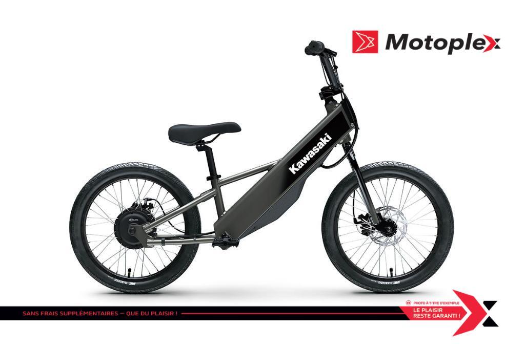 2025 Kawasaki Elektrode 