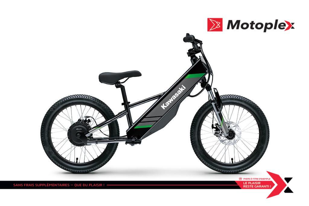 2025 Kawasaki Elektrode 
