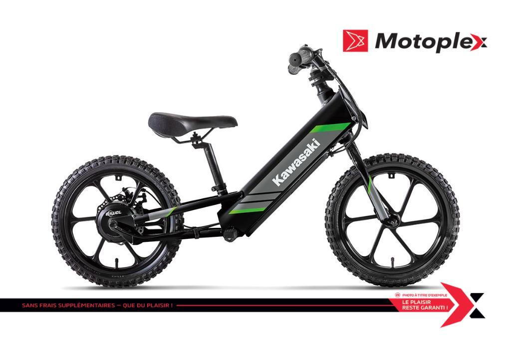 2025 Kawasaki Elektrode 