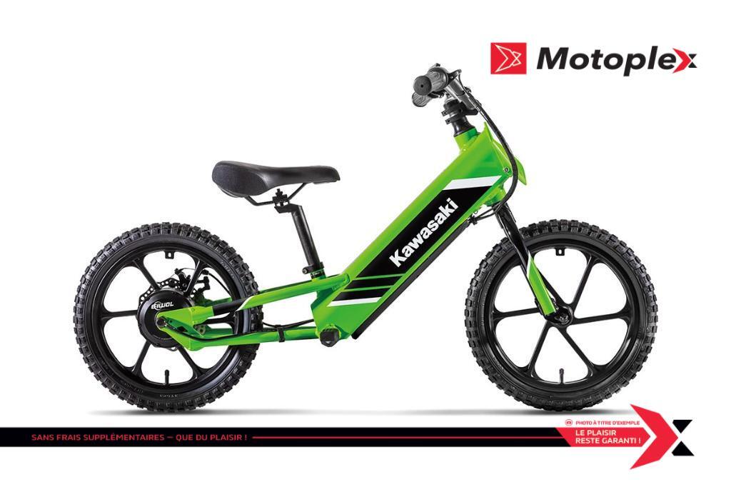 2025 Kawasaki Elektrode 