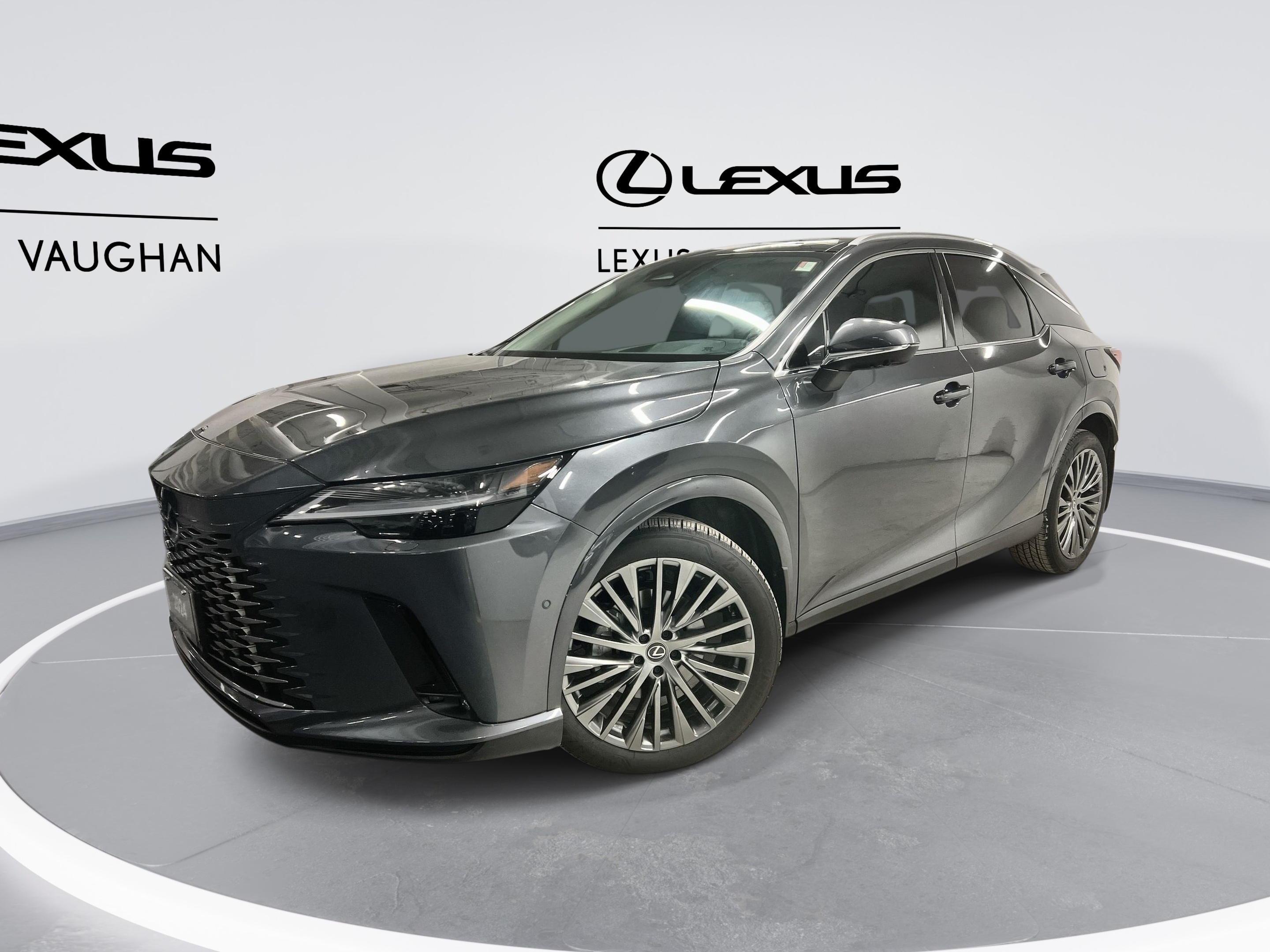 2024 Lexus RX | EXECUTIVE PKG. | TOP MODEL |