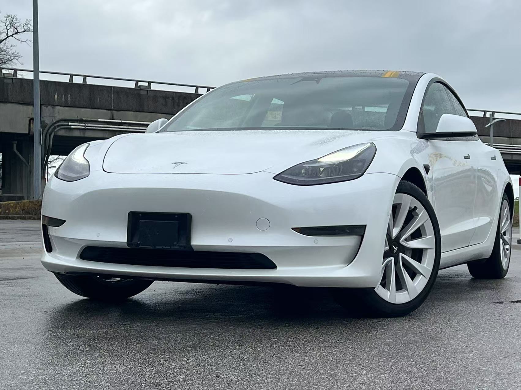 2021 Tesla Model 3 Standard Range Plus/ NO ACCIDENT/ BC LOCAL/ 19 INC