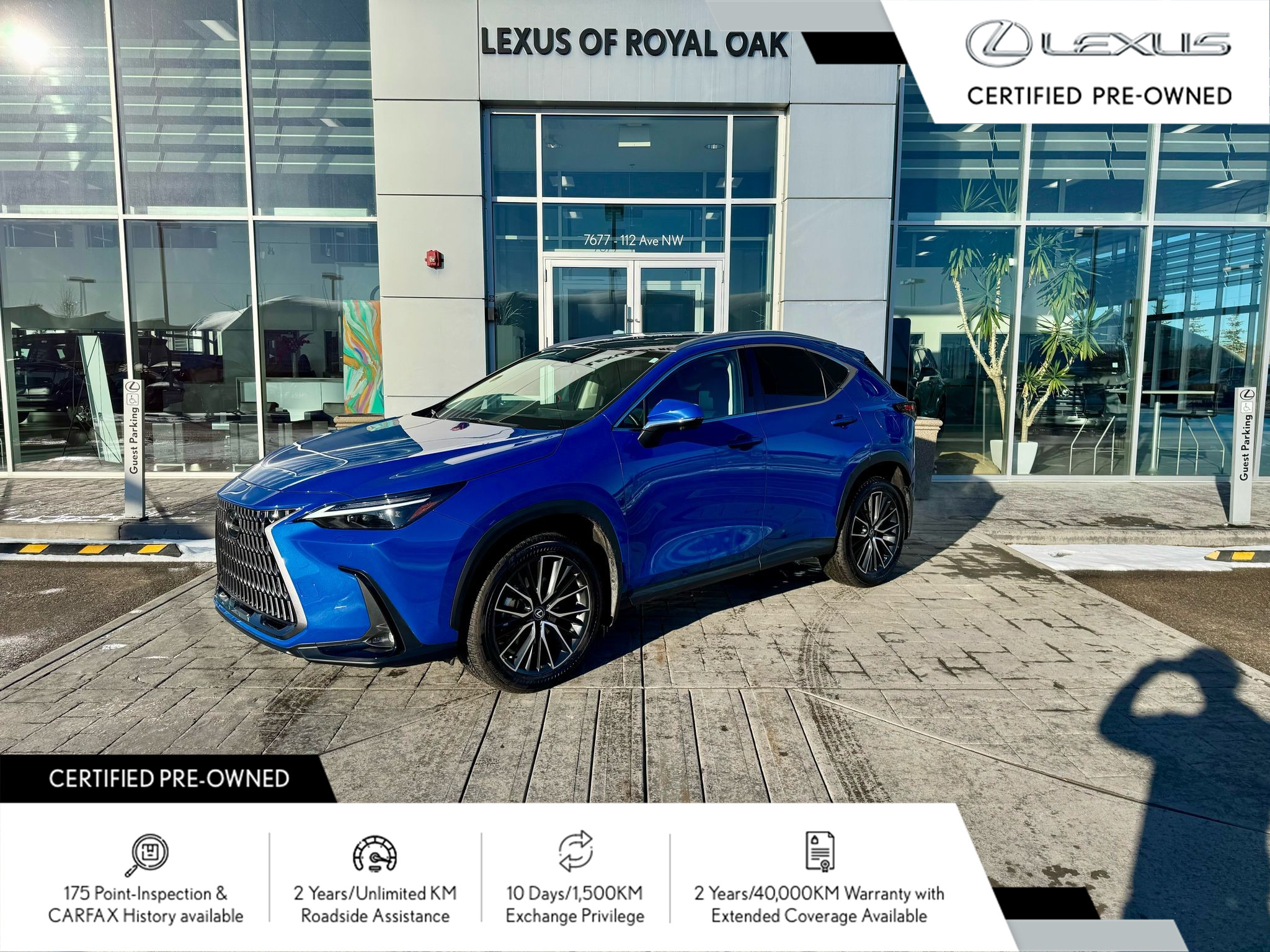 2024 Lexus NX 350 EXECUTIVE PACKAGE / ZERO ACCIDENTS / FULLY LOADED