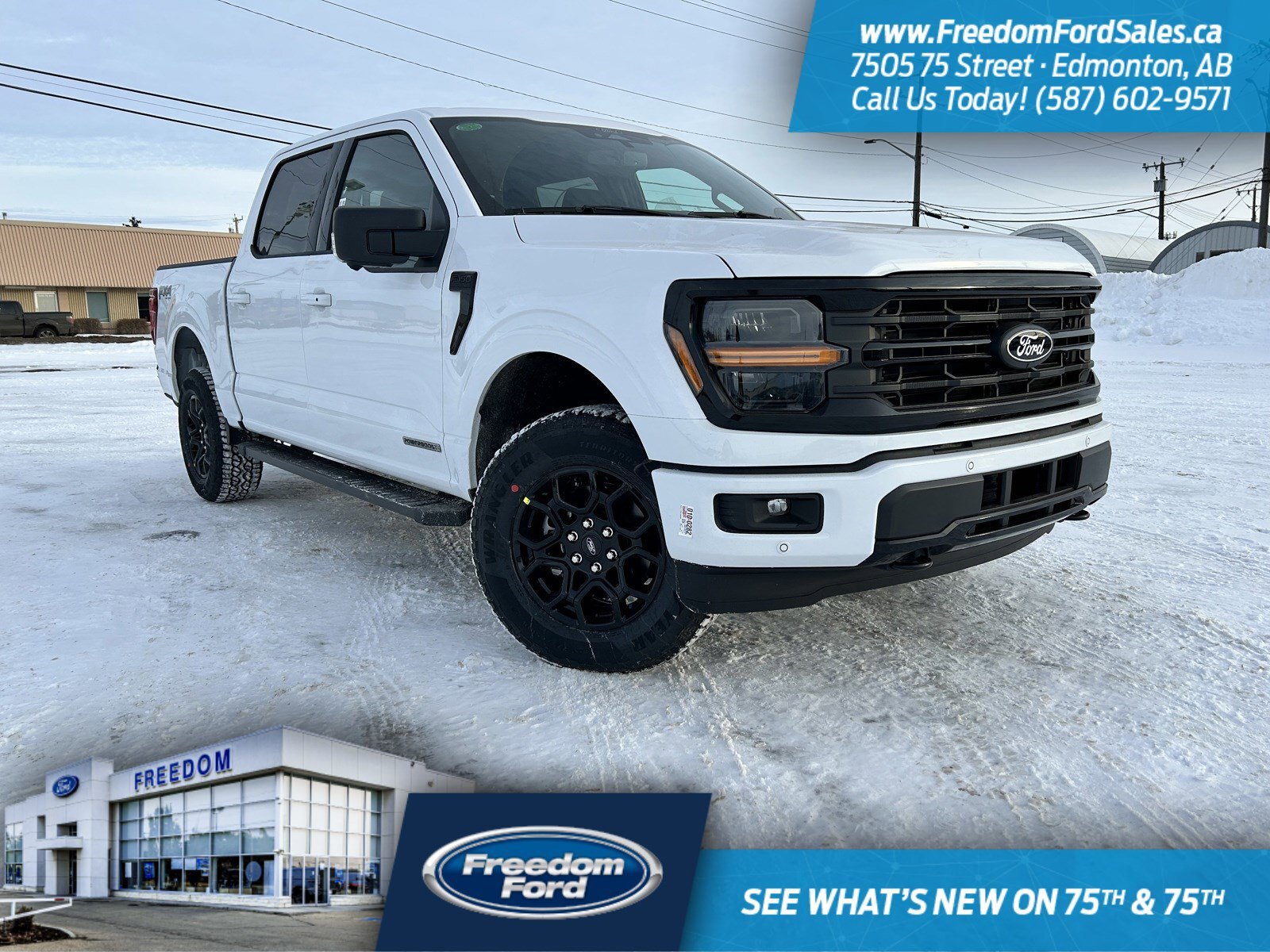 2025 Ford F-150 XLT | 302A | 4X4 | SuperCrew 145
