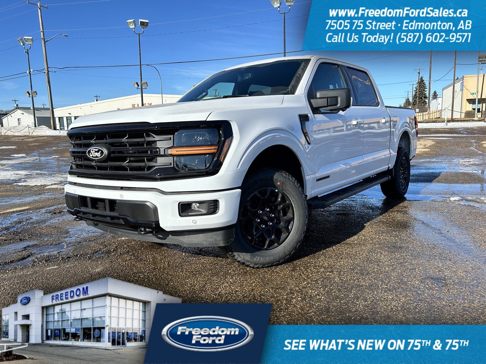 2025 Ford F-150 XLT | 302A | 4X4 | SuperCrew 145