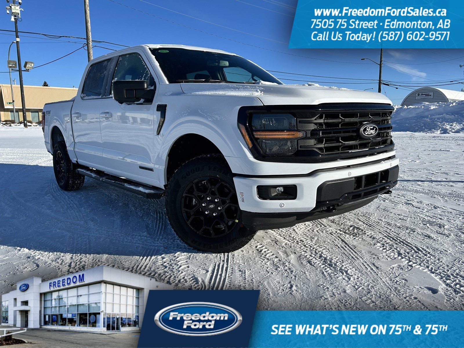 2025 Ford F-150 XLT | 302A | 4X4 | SuperCrew 145