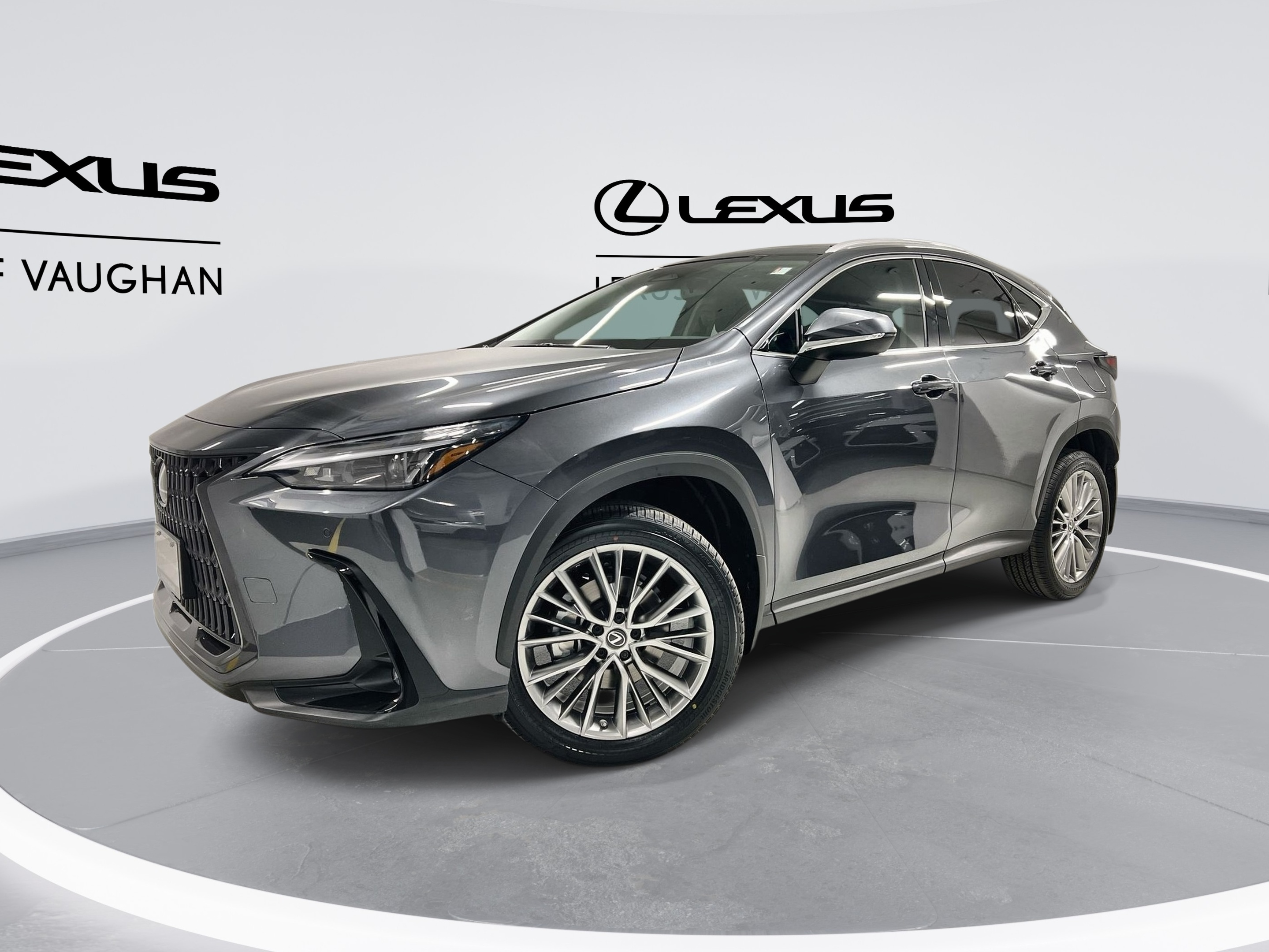 2025 Lexus NX 350 Luxury Package
