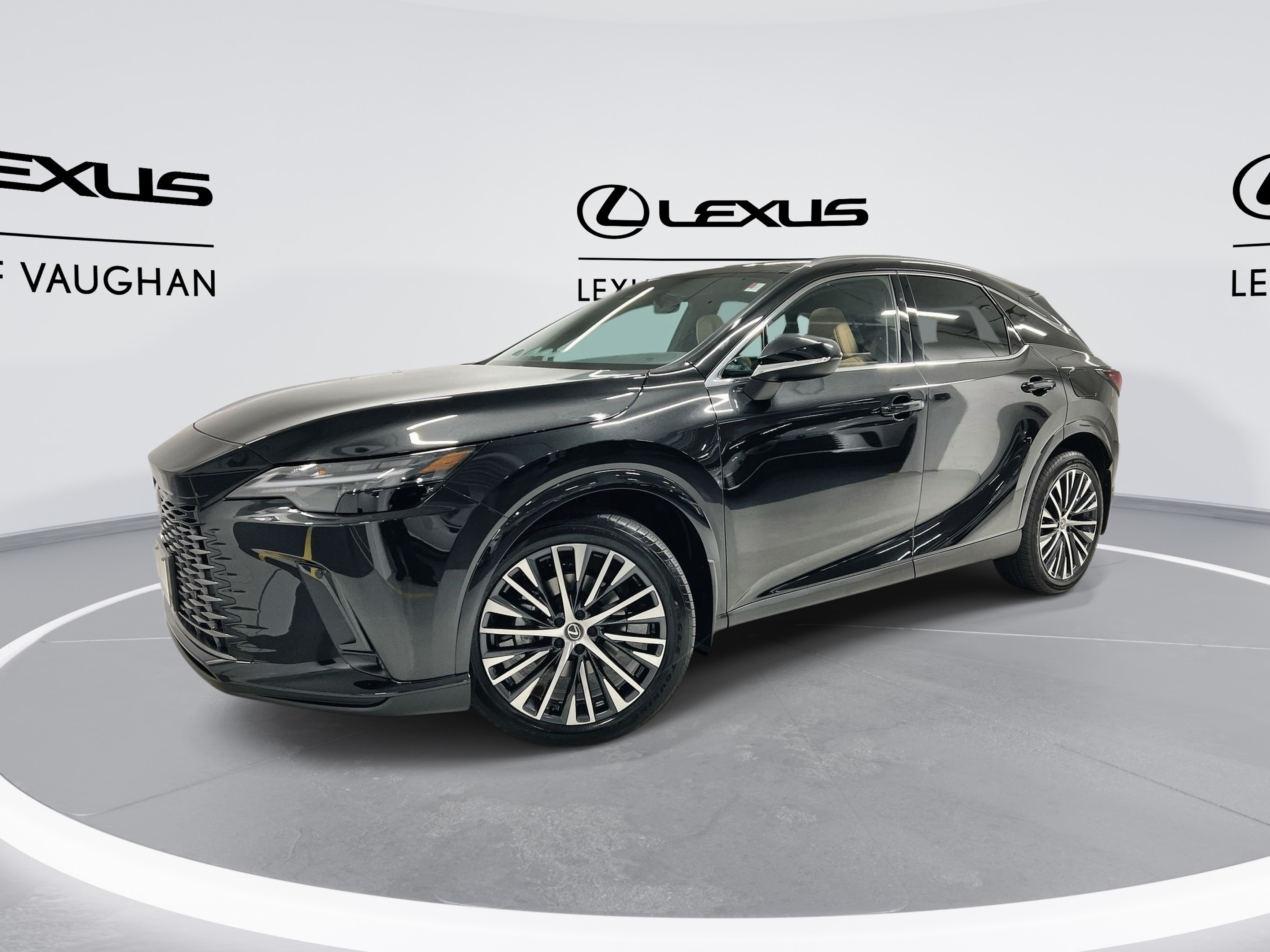 2025 Lexus RX 350 Luxury Package