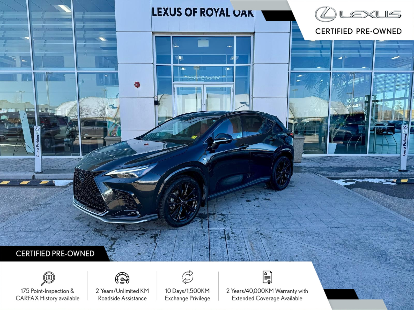 2024 Lexus NX 350 F SPORT 3 / ZERO ACCIDENTS / FULLY LOADED