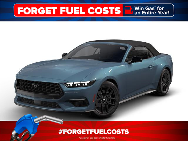 2025 Ford Mustang EcoBoost Premium 201A PKG | MUSTANG NITE PONY PKG 