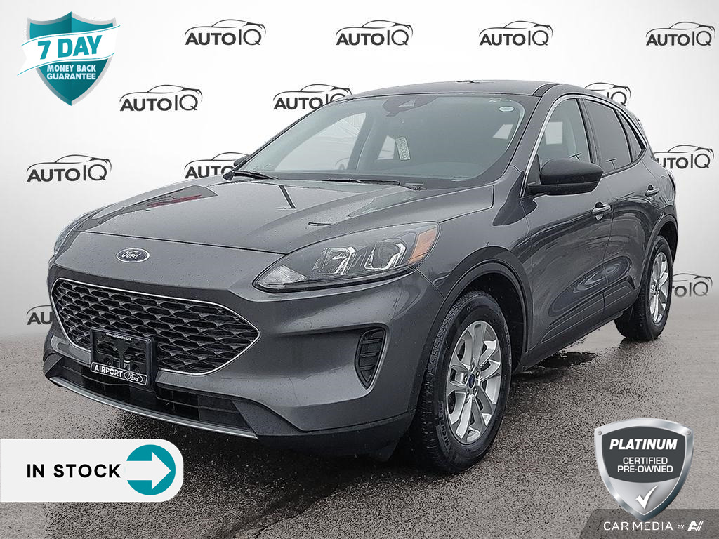 2022 Ford Escape SE - COLD WEATHER PACKAGE