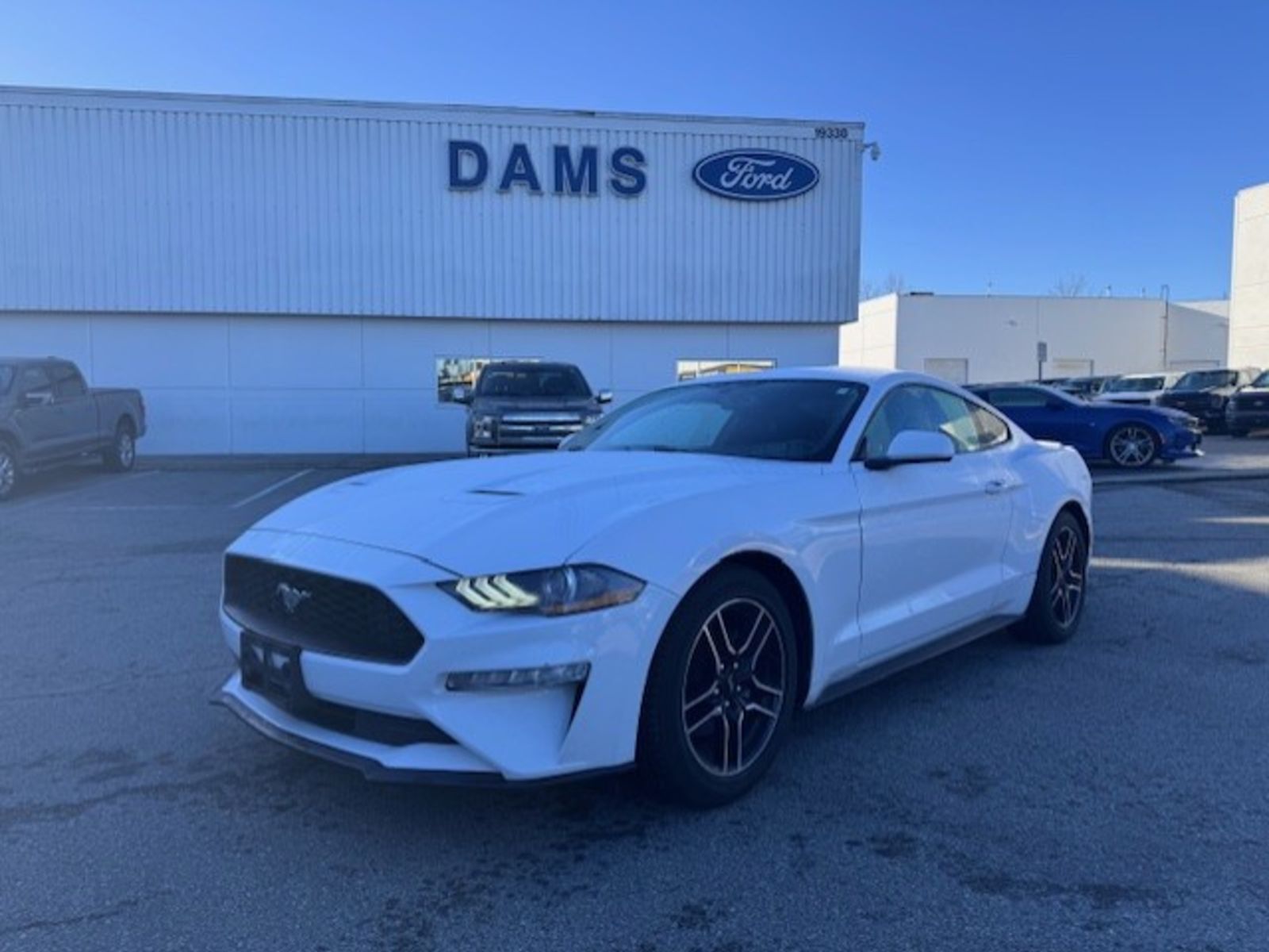 2020 Ford Mustang 