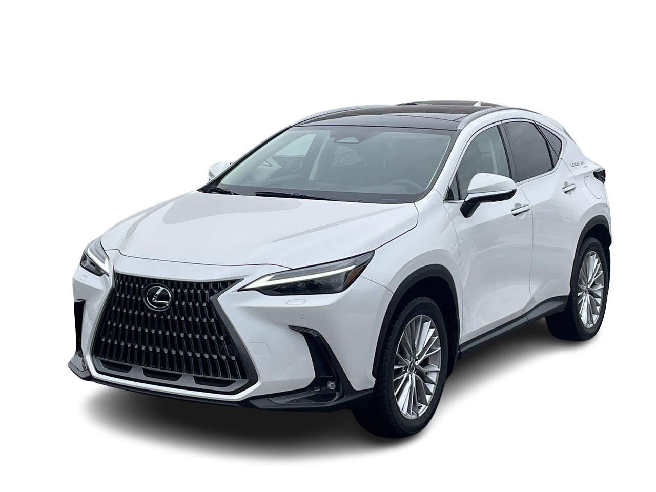 2024 Lexus NX NX 350 AWD