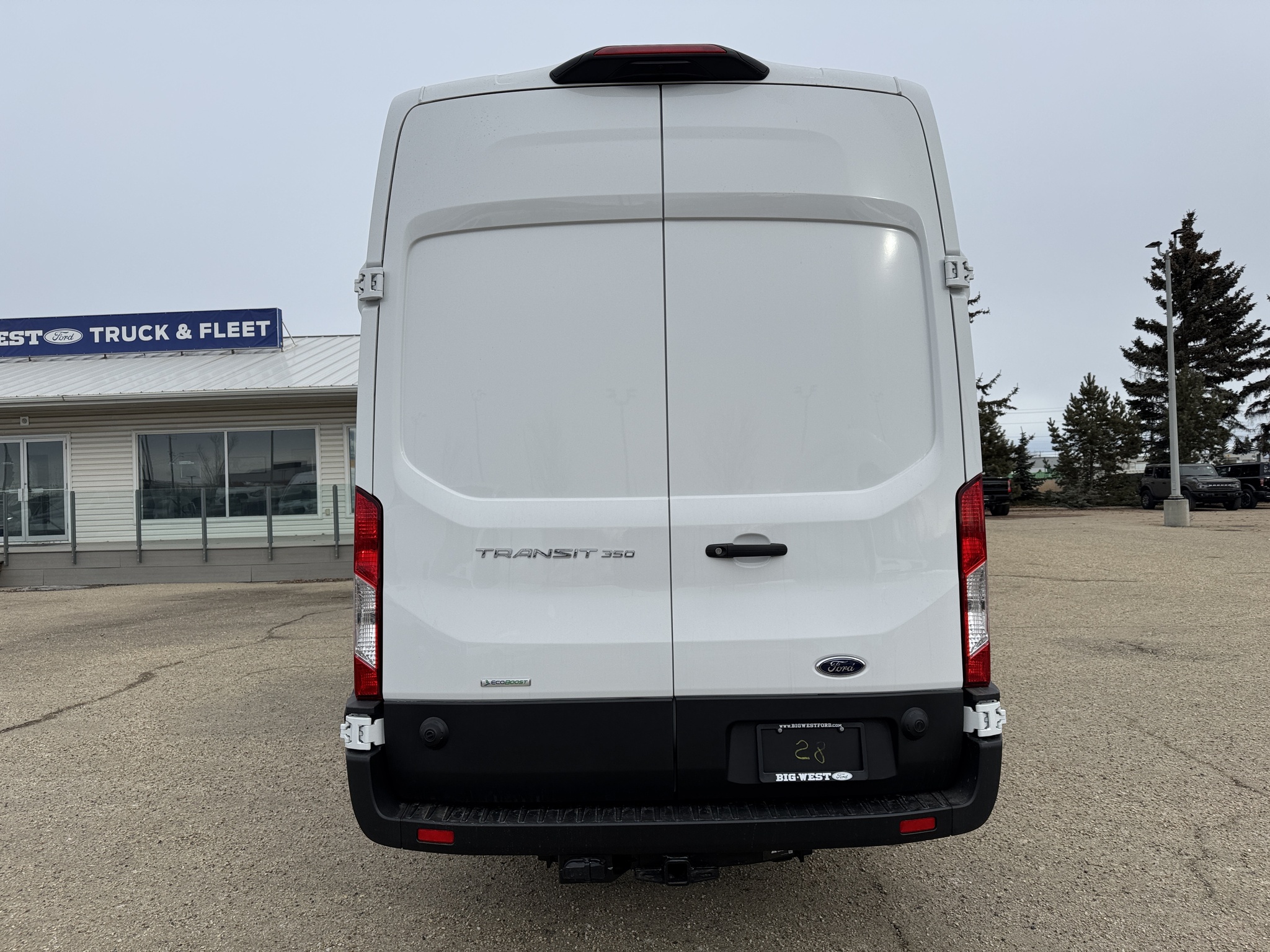 2025 Ford Transit Cargo Van