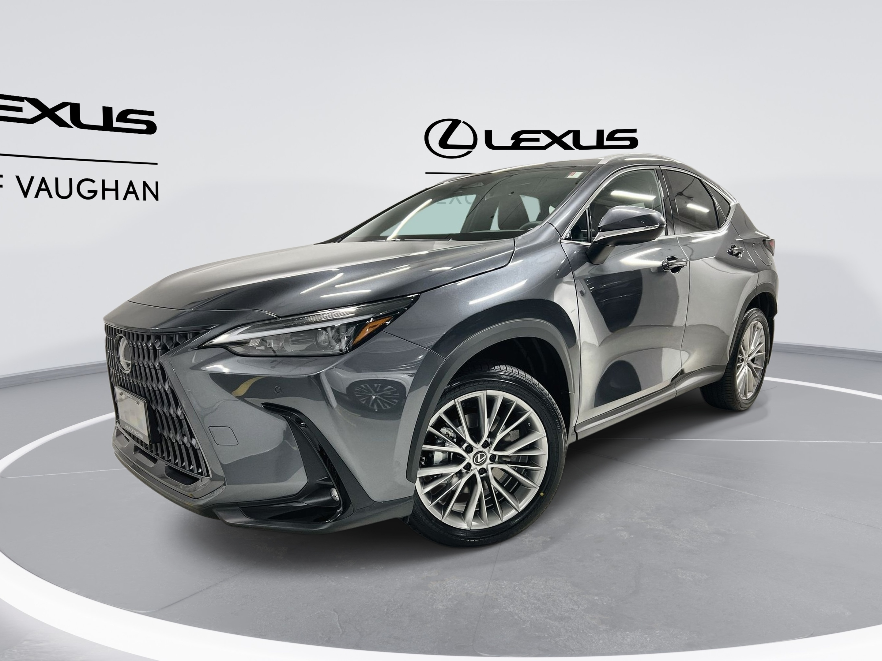 2025 Lexus NX 350h Luxury Package
