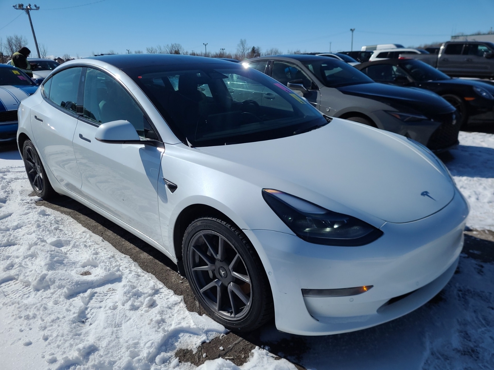 2021 Tesla Model 3 SR PLUS Pearl White Pano Roof / Autopilot / Leathe