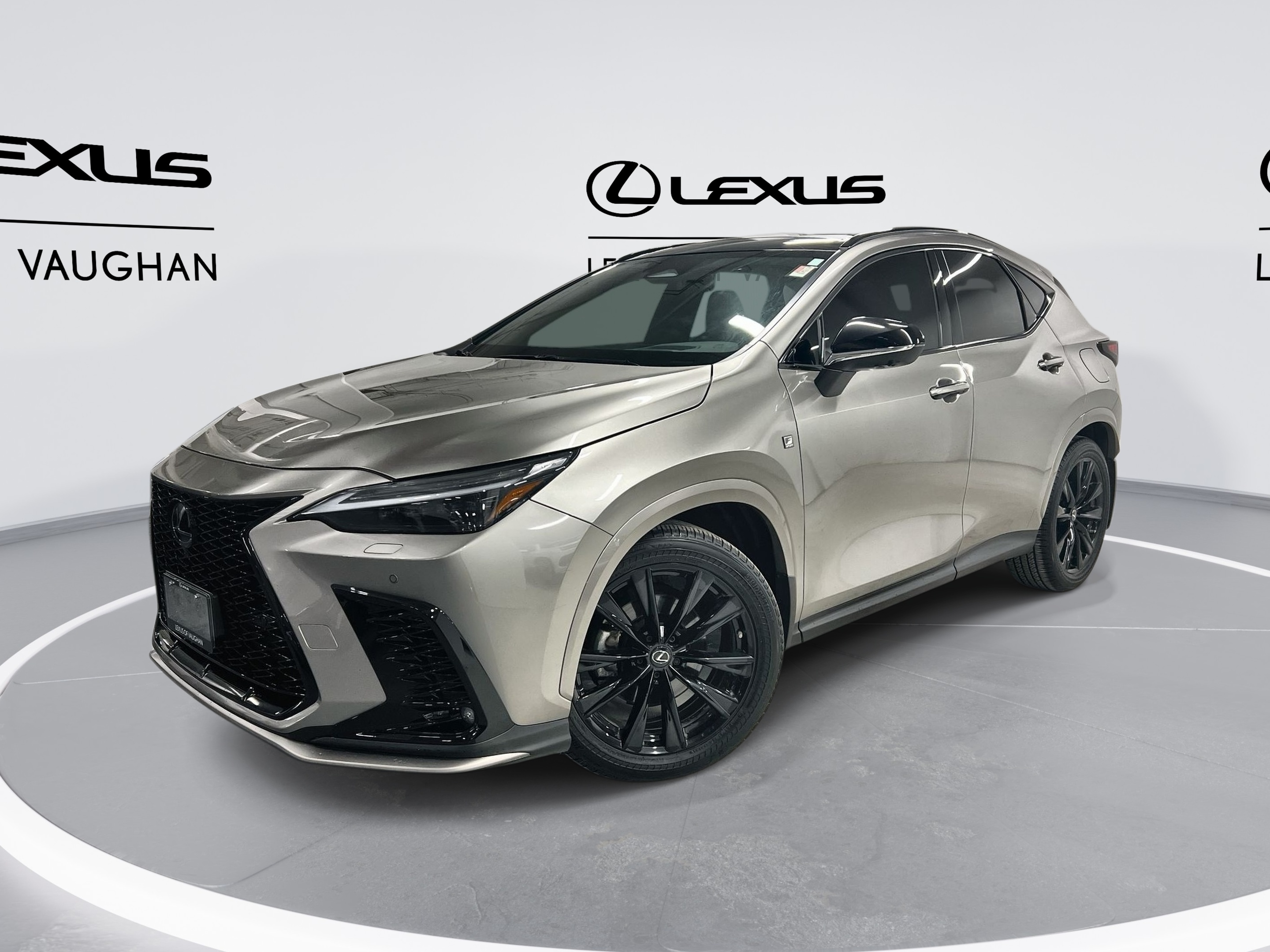 2022 Lexus NX |  F SPORT 3 | TOP OF THE LINE MODEL |