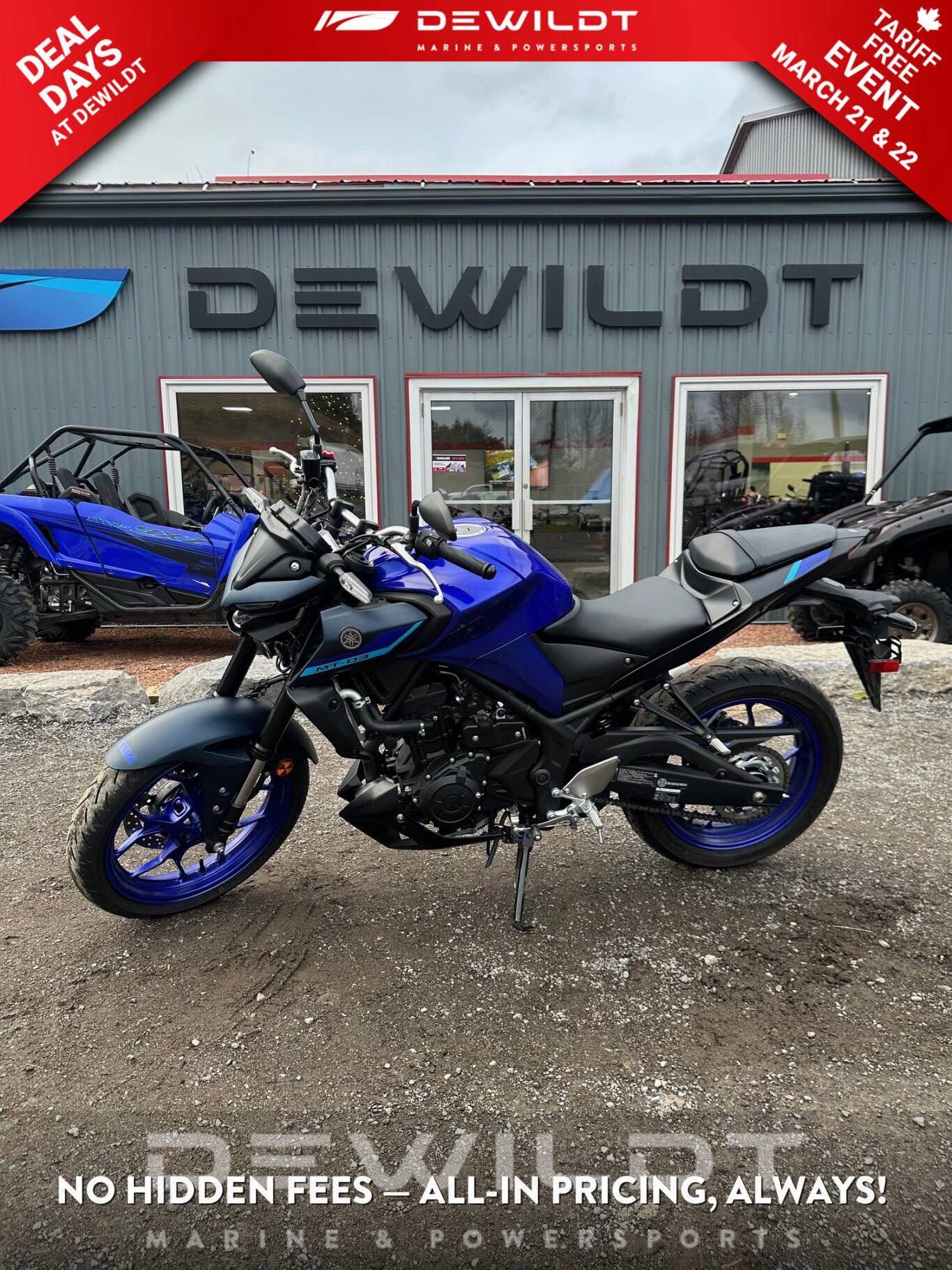 2024 Yamaha MT-03 03 