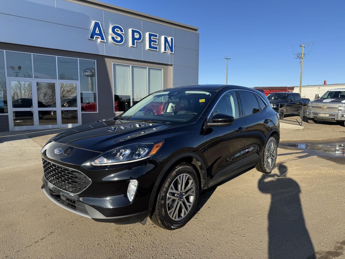 2022 Ford Escape Sel Hybrid
