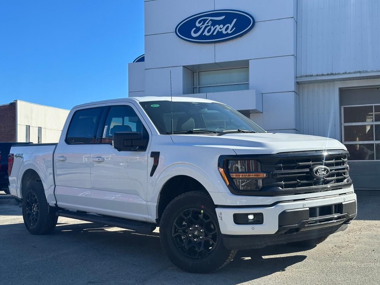 2025 Ford F-150 XLT *Heated seats, Power seats + Windows*