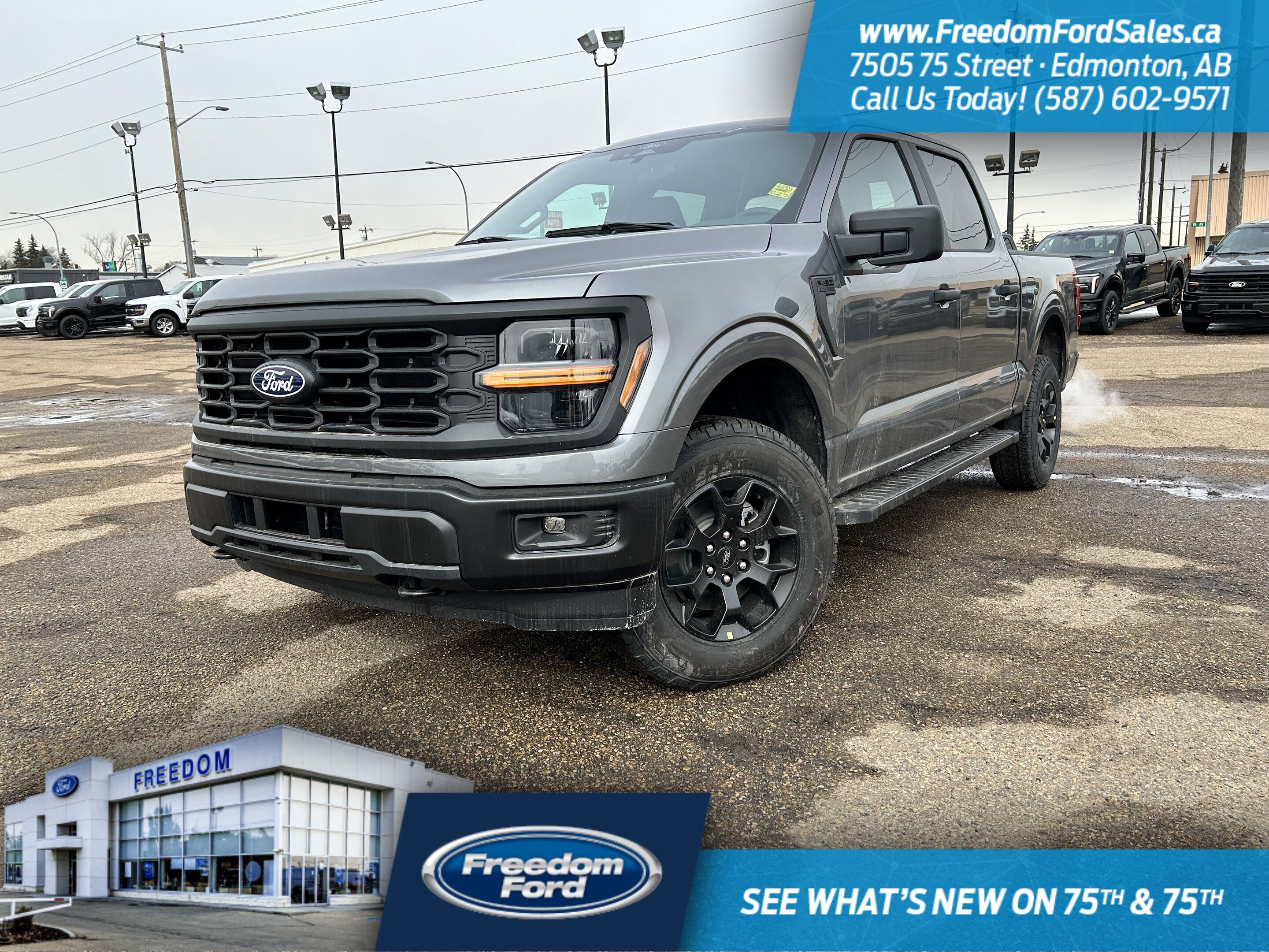 2025 Ford F-150 STX | 201A | 4X4 | SuperCrew 145