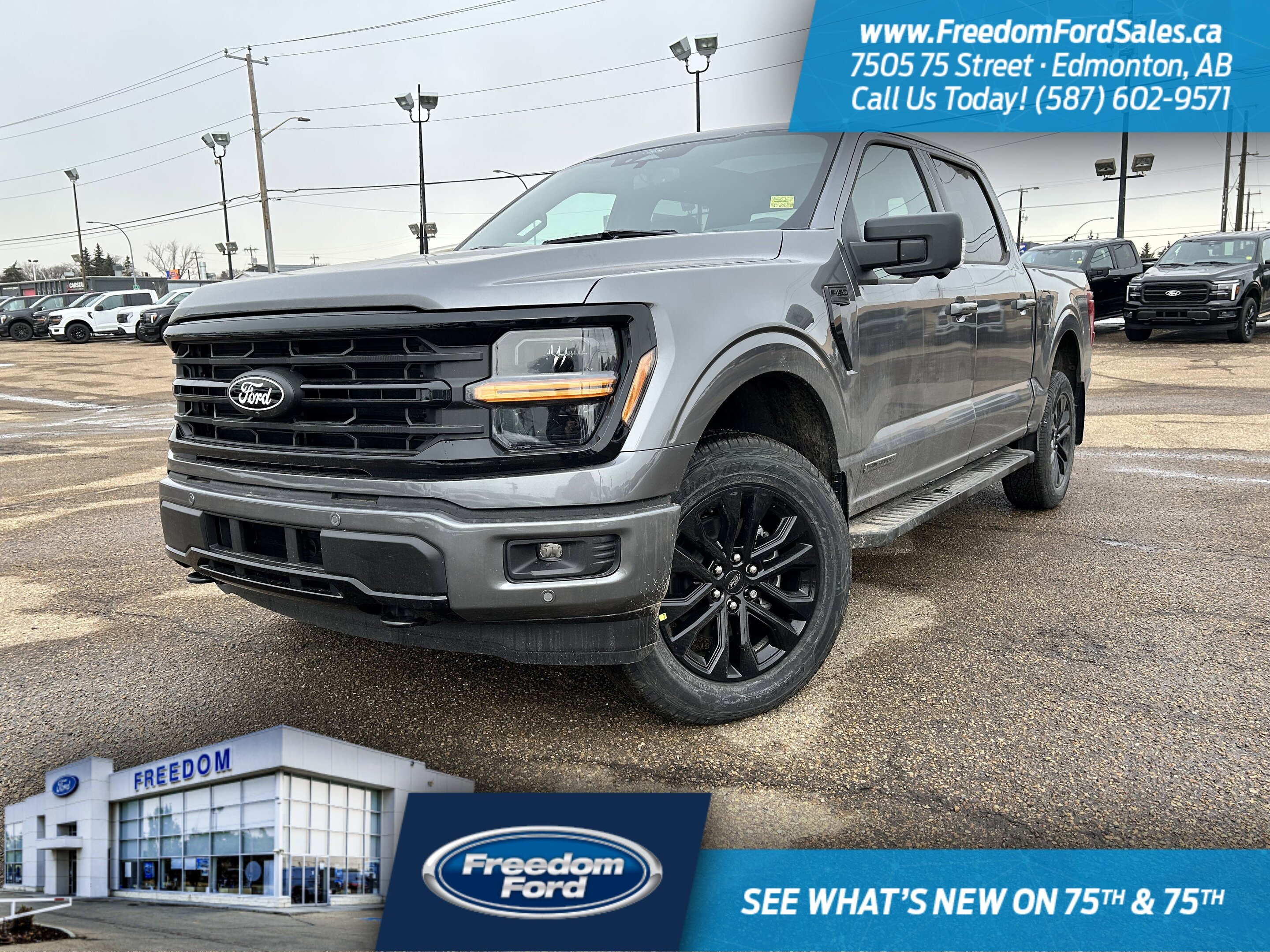 2025 Ford F-150 XLT | 303A | 4X4 | SuperCrew 145