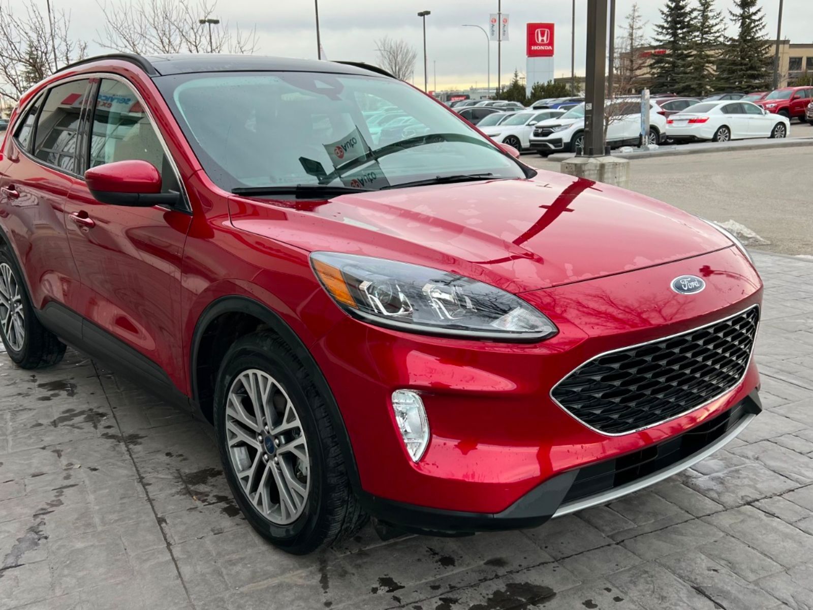 2022 Ford Escape SEL: No Accidents, Leather, Sunroof, AWD, Fully Lo