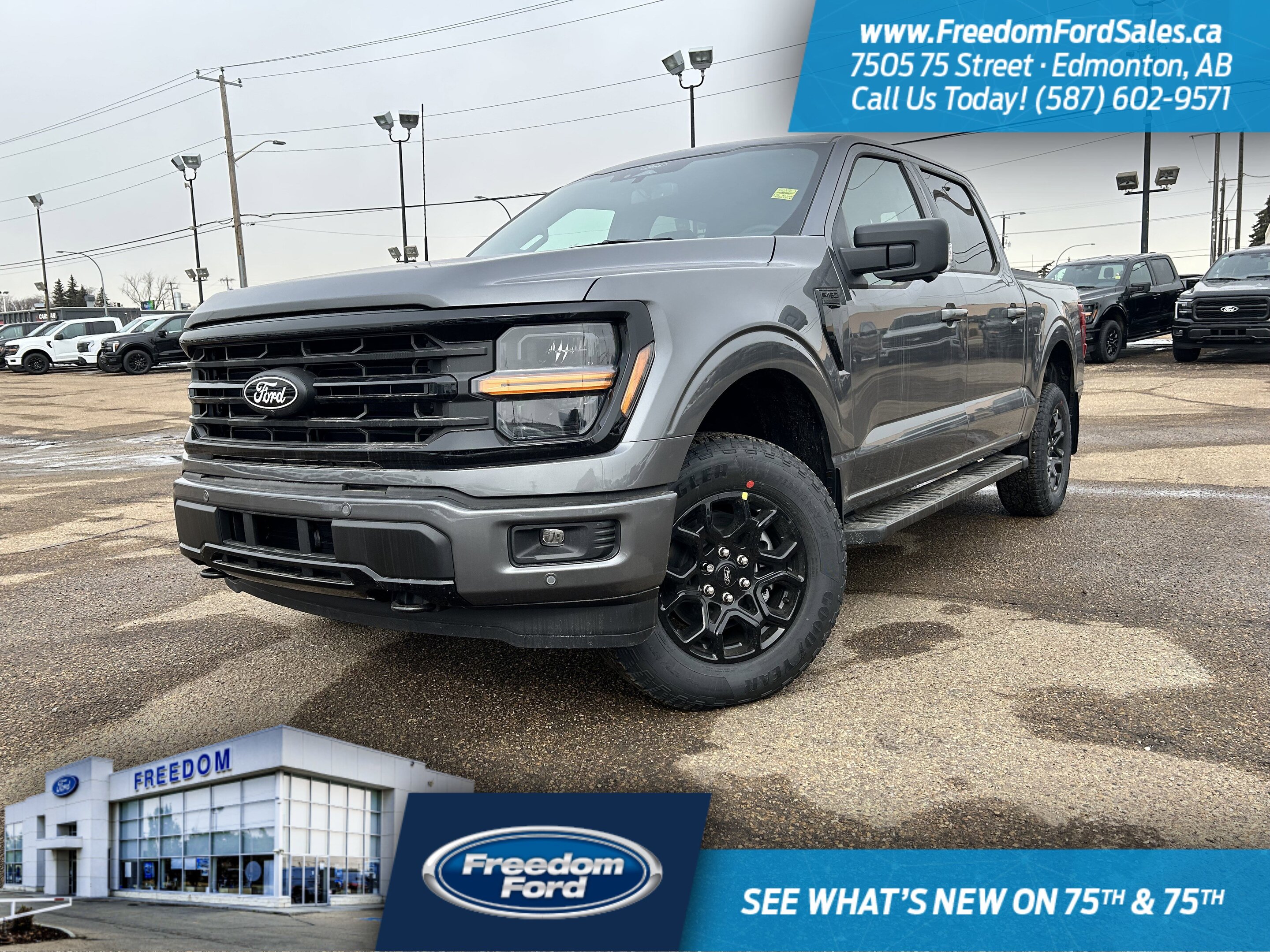 2025 Ford F-150 XLT | 302A | 4X4 | SuperCrew 145