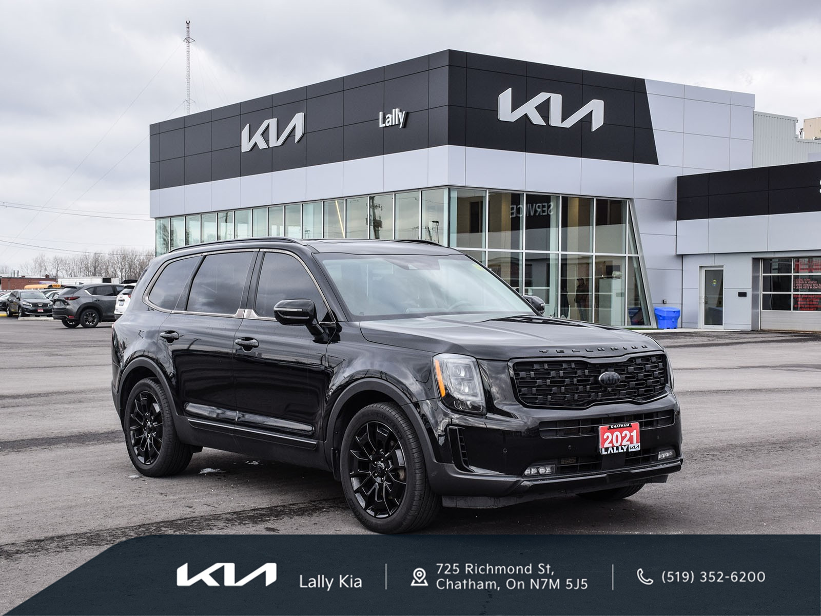2021 Kia Telluride NIGHTSKY | PANO MOONROOF | HEATED AND COOLED SEATS