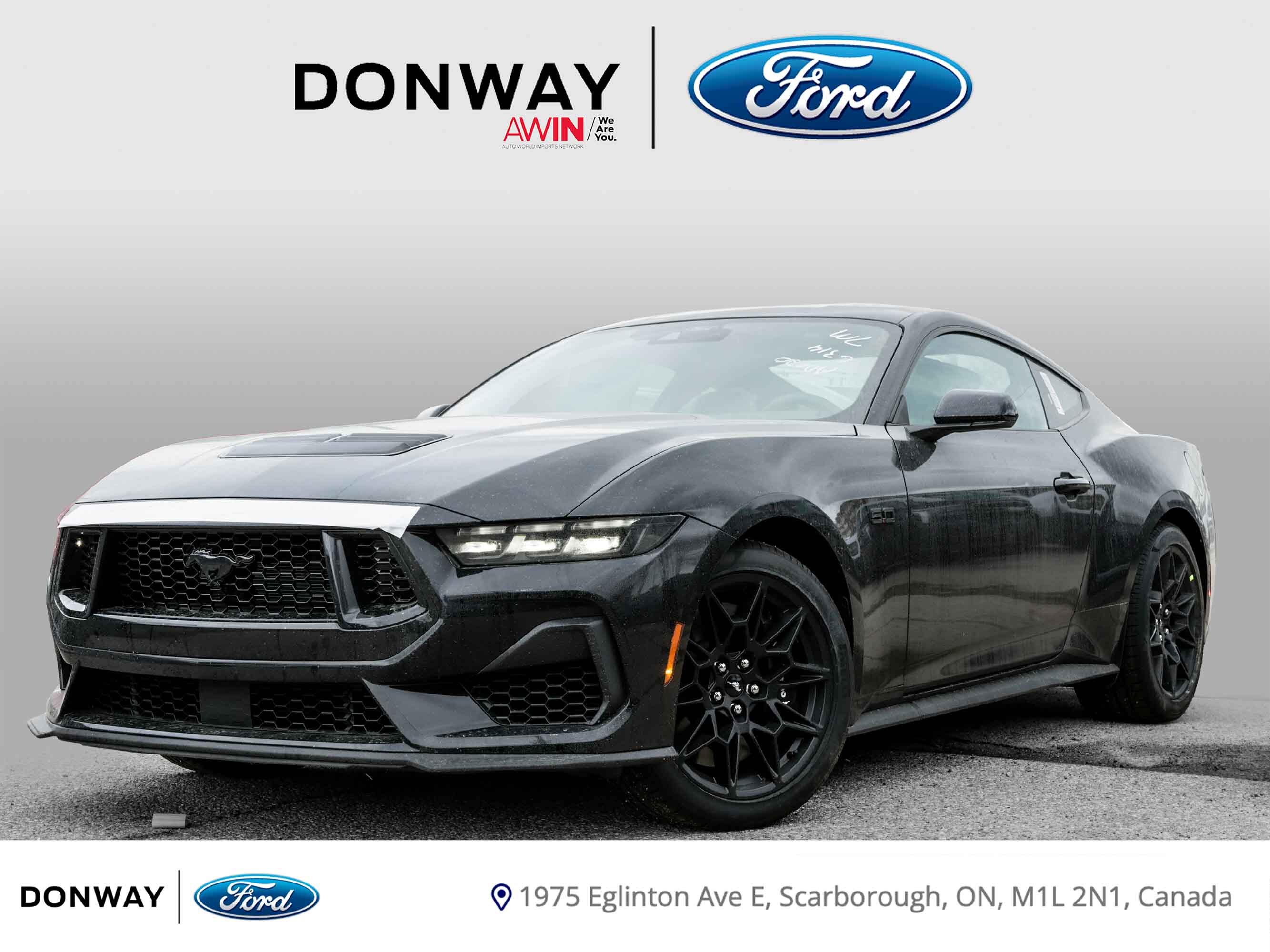 2025 Ford Mustang GT Fastback PERFORMANCE PACKAGE!