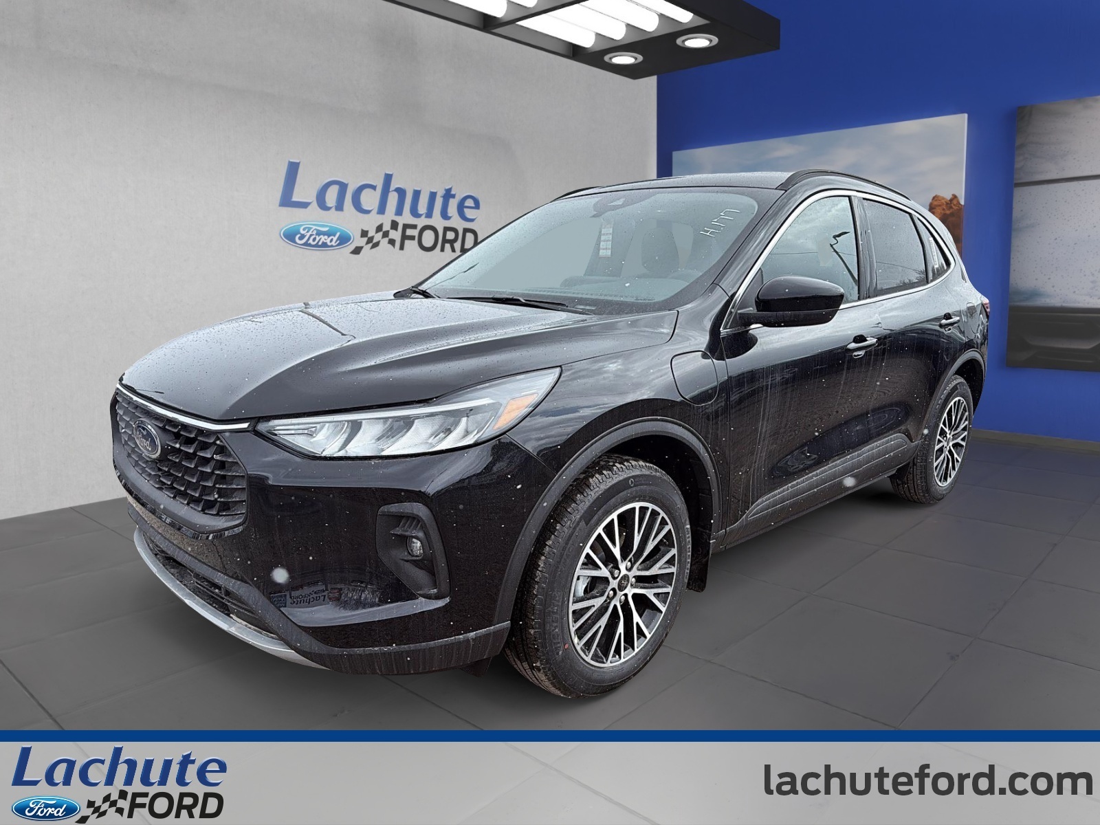 2025 Ford Escape VHR