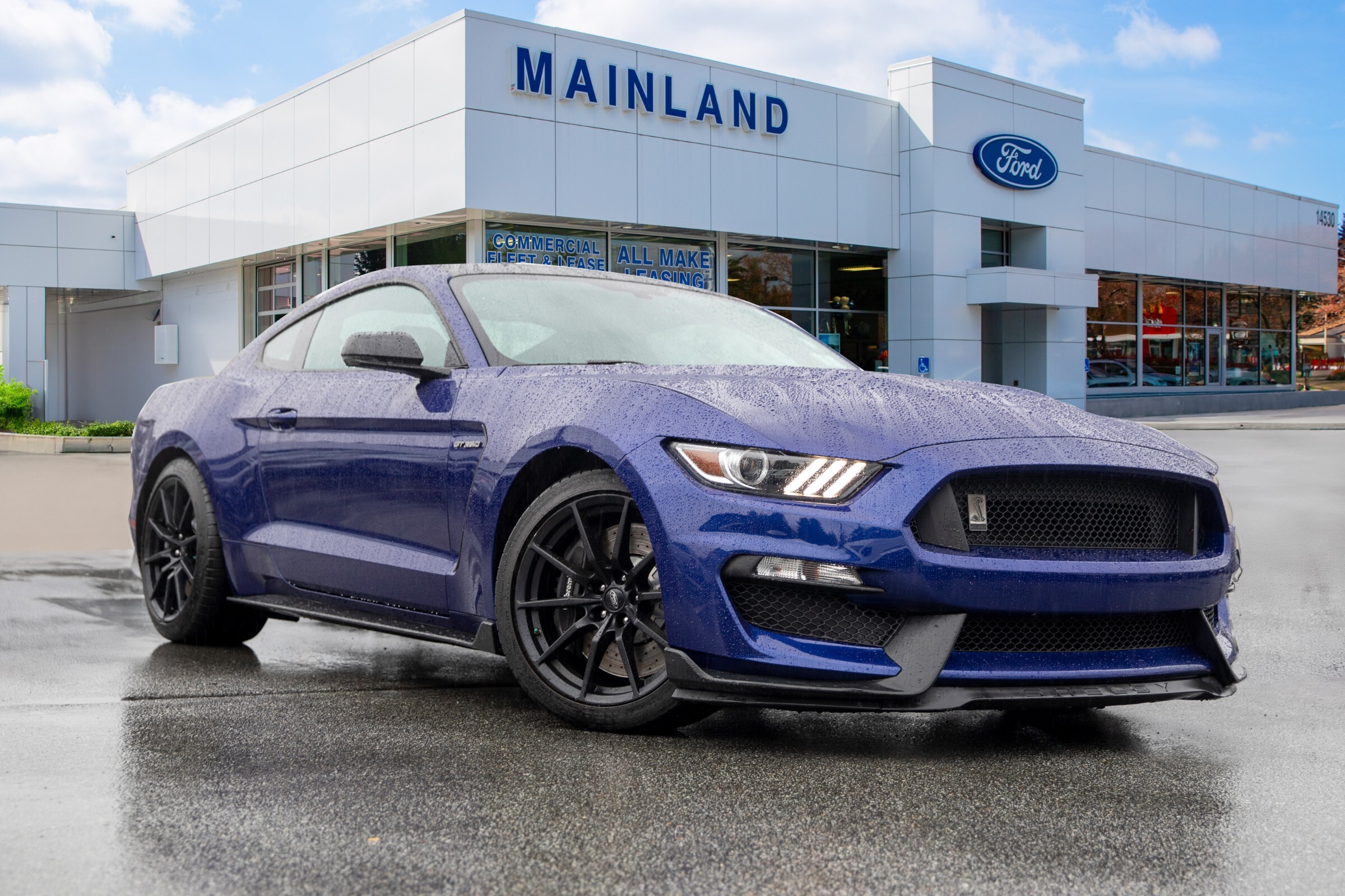2016 Ford Mustang Shelby TECHNOLOGY PACKAGE | PAINTED ROOF