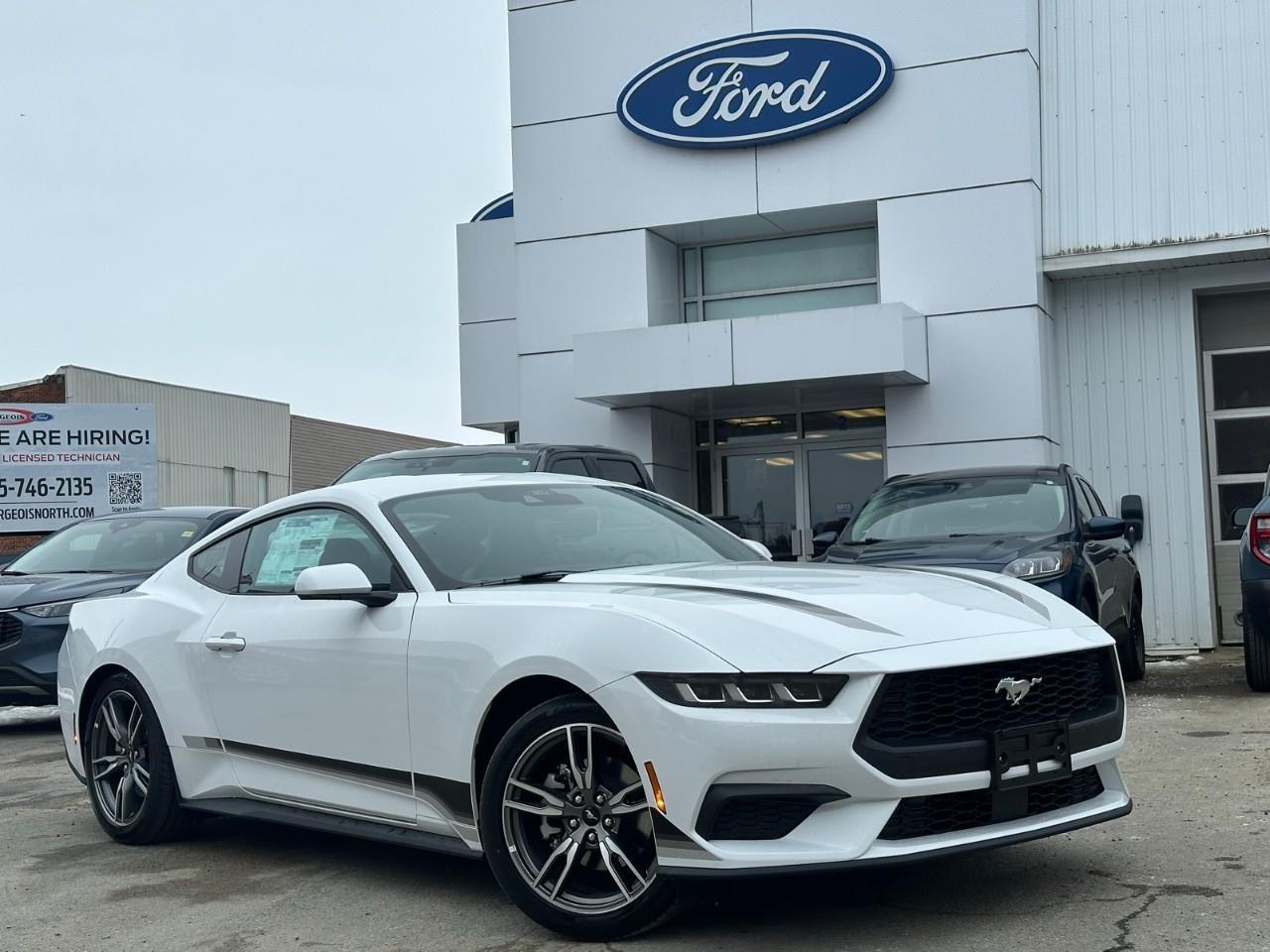 2025 Ford Mustang EcoBoost *Heated seats, Power windows + Seats*