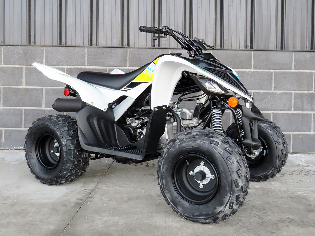 2022 Yamaha Raptor 90 